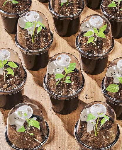 homenote Nursery Pots for Plants, 3 Inch Plant Pot for Planting - Image 3