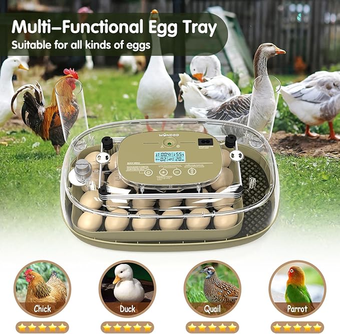 24 Egg Incubator with Automatic Turning, Temperature and Humidity Control - Image 7