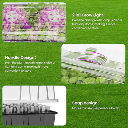 MIXC Seed Starter Tray with Lights, 2 Packs Mini Propagator Plant Grow Kit - Image 2