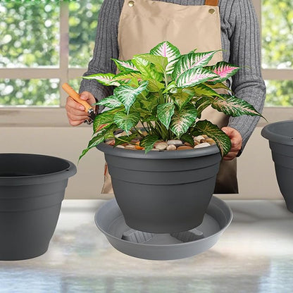 4 Pack Plant Saucer 10 inch, 8 12 14 17 inch, Plant Stand Plastic Plant Saucers - Image 5