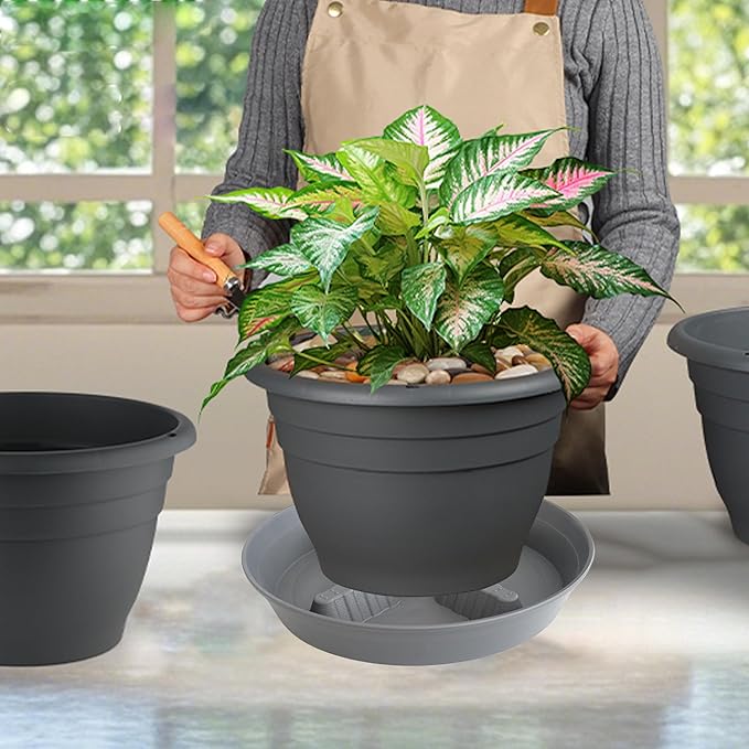 4 Pack Plant Saucer 8 inch, 10 12 14 17 inch, Plant Stand Plastic Plant Saucers - Image 5