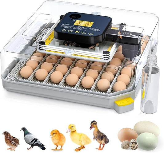 48 Egg Incubator for Hatching by Besly