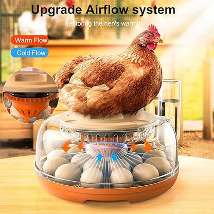 18 Egg Incubator, Automatic Turning - Image 4