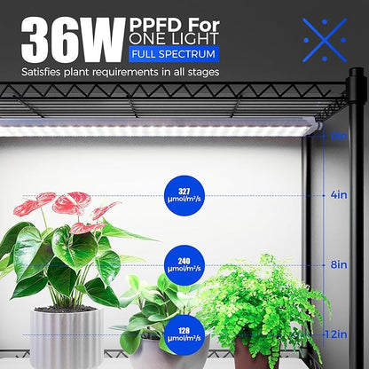 Barrina CX3 Plant Stand with Grow Light, 3FT 5000K, 108W Full Spectrum Indoor - Image 3