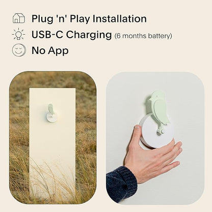 Birdie 2.0 - Design Indoor CO2 Monitor - Air Quality Meter - Image 2
