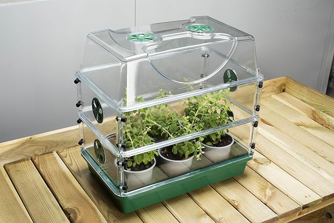 Medium EarlyGrow Seed and Herb Domed Propagator - Image 6