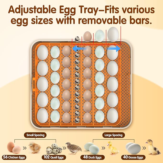 56 Eggs Incubators for Hatching Eggs - Image 6