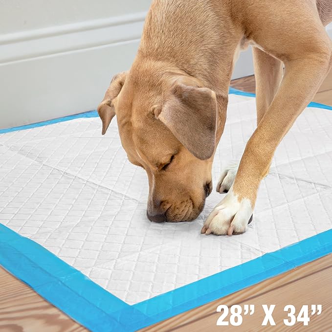 Four Paws Wee-Wee Superior Performance Unscented Extra-Large Pee Pads - Image 8