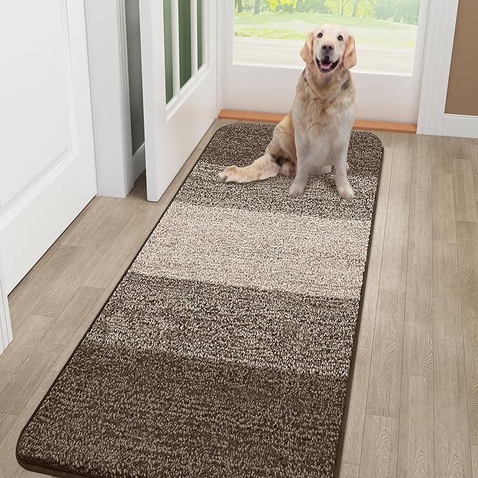 Smiry Dog Door Mat for Muddy Paws, Absorbs Moisture and Dirt, Low-Profile by Smiry