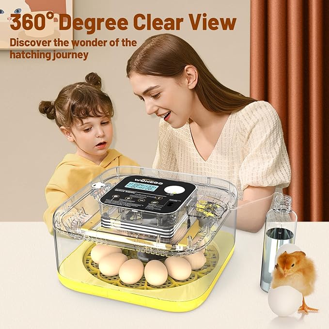 Incubator for Hatching Eggs, 12 Eggs Incubator - Image 8