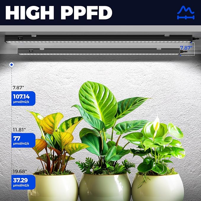 Barrina T5 Grow Lights for Indoor Plants, 2FT 5000K Full Spectrum LED Grow Light - Image 4