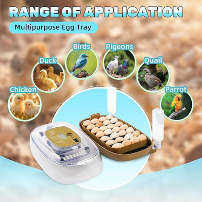 Incubators for Hatching Eggs, 24 Egg Incubator - Image 2