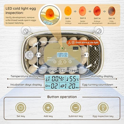 24 Egg Incubator for Hatching Eggs - Image 2