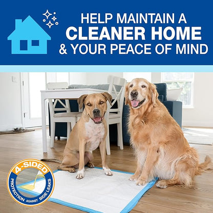 Four Paws Wee-Wee Superior Performance Unscented Extra-Large Pee Pads - Image 9