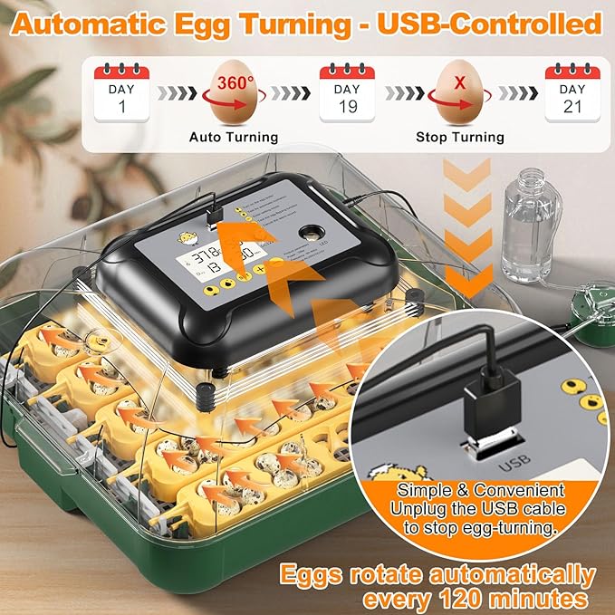 30 Egg Incubator for Hatching Eggs - Image 2