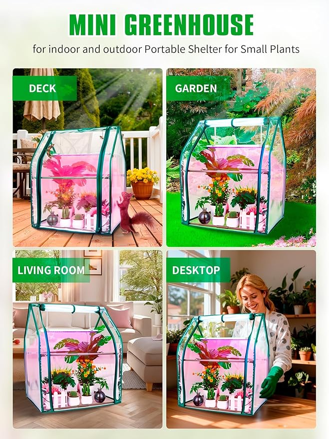Mini Greenhouse Indoor, Mini Green House - Image 8