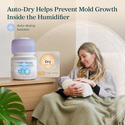 LEVOIT Evaporative Humidifiers for Bedroom Baby, Dual Air and Water Filters - Image 5