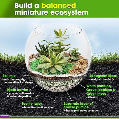 DUSPRO Recycle Terrarium Kit, Include Potting Soil, Sphagnum Moss, Decorative - Image 3
