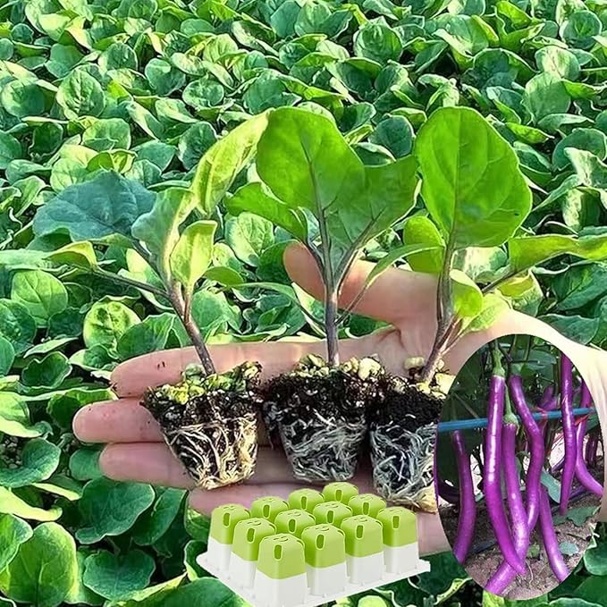 Seed Starter Tray, Seed Starting Trays - Image 2