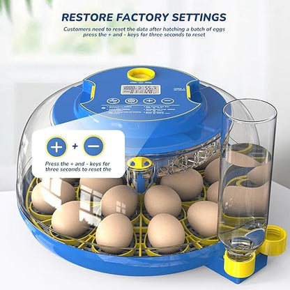 Incubator for Hatching Eggs - Image 8