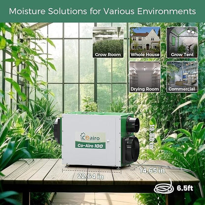 Whole House Dehumidifier 90 Pint - Image 3