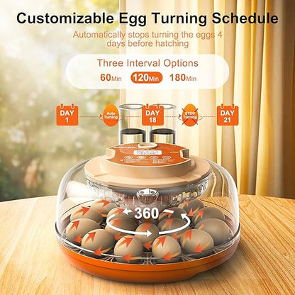 18 Egg Incubator, Automatic Turning - Image 2