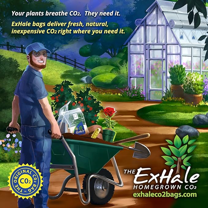 ExHale Homegrown CO2 Original - Image 4