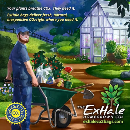 ExHale Homegrown CO2 Original - Image 4