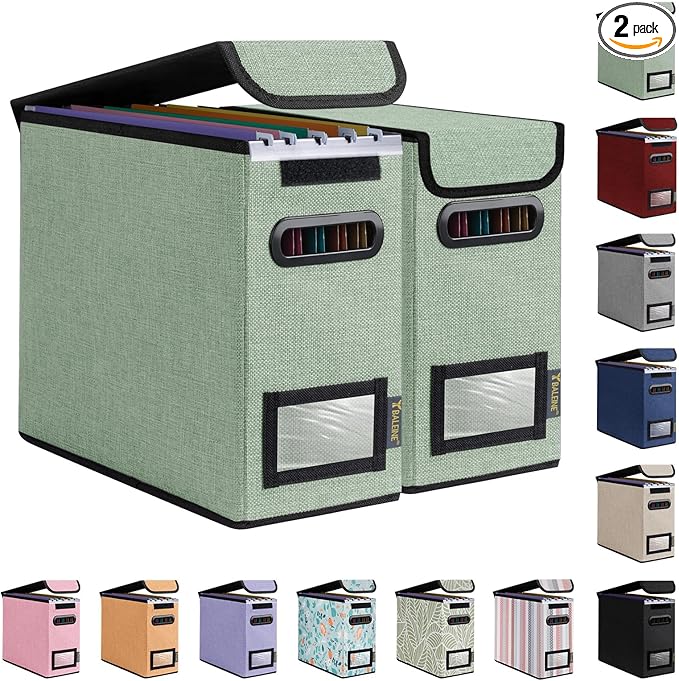 BALEINE File Organizer Box by BALEINE