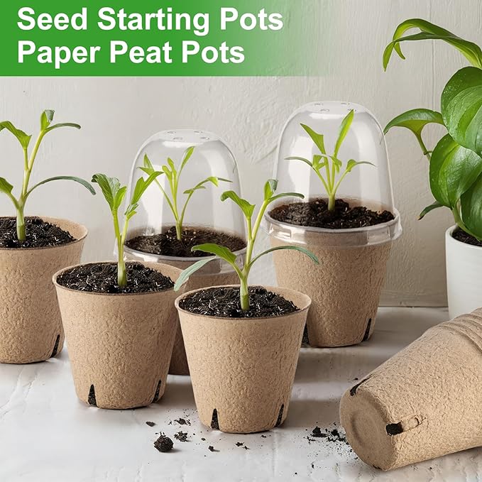 36 Set 3.15 Inch Peat Pots Plant Starters - Image 6