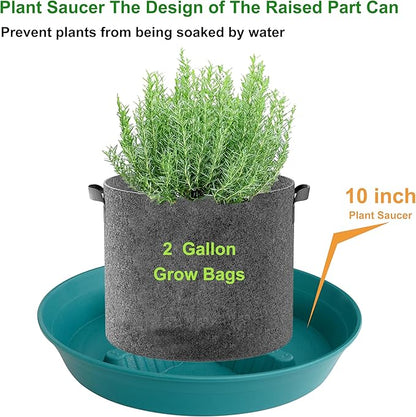 4 Pack Plant Saucer 10 inch, 8 12 14 17 inch, Plant Stand Plastic Plant Saucers - Image 3