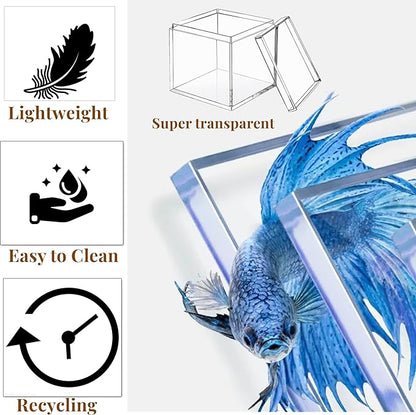 KissYou Large Acrylic Box With Lid Clear Display Boxes Acrylic Square Cube - Image 3