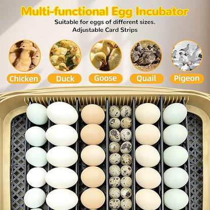 24 Egg Incubator with Temperature Control & Humidity Monitoring, Automatic Egg - Image 8