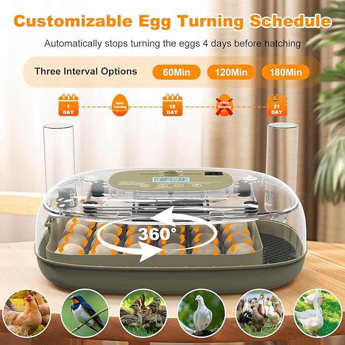 24 Egg Incubators for Hatching, Automatic Egg Turning and Temperature Control - Image 5