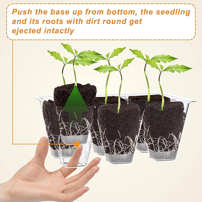 Gardzen 10 Pack Push-Up Seed Starting Tray, Pop Up Plant Germination Trays - Image 4