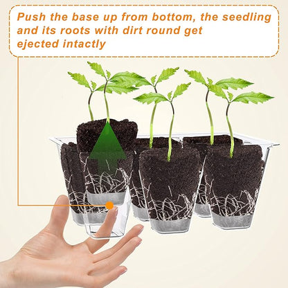 Gardzen 10 Pack Push-Up Seed Starting Tray, Pop Up Plant Germination Trays - Image 4