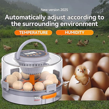 12 Egg Incubators for Hatching Eggs - Image 2