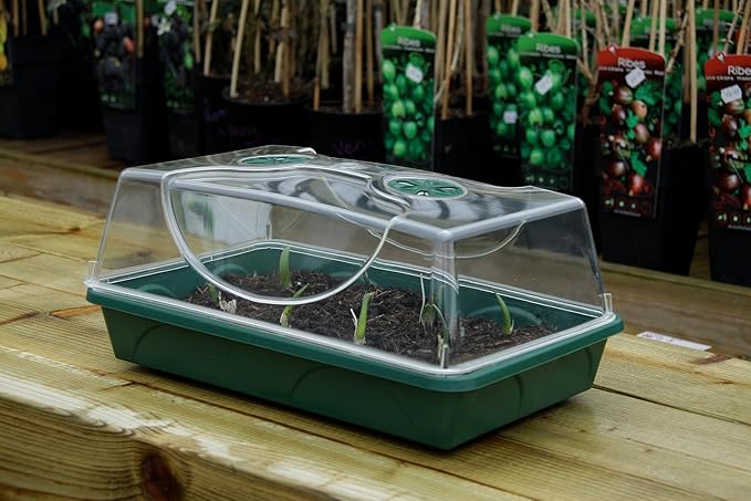 EarlyGrow Medium Seed and Herb Domed Propagator - Image 8