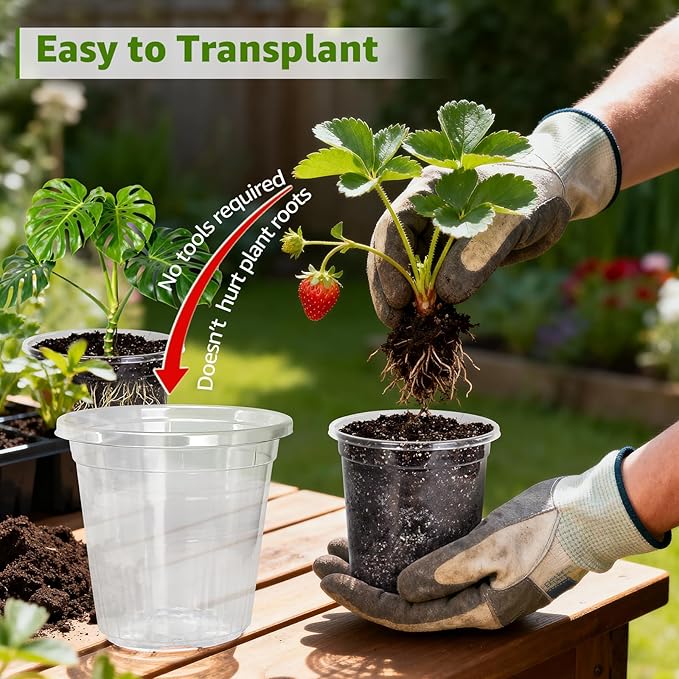 MIXC Clear Nursery Pots with Drainage Holes, 5/4/3.5 Inch Reinforced - Image 4