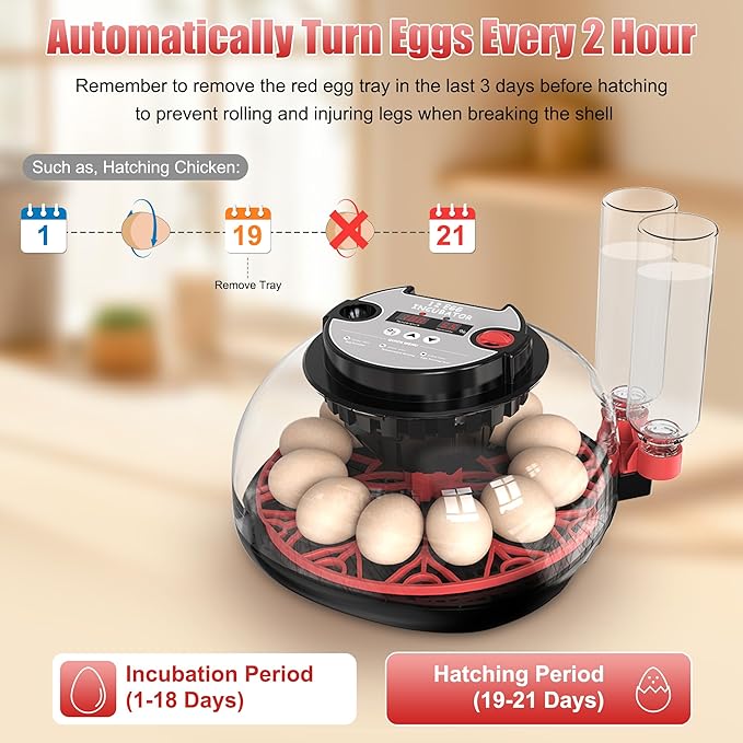 12 Egg Incubator with Temperature Control, Humidity Display, Automatic Egg - Image 4