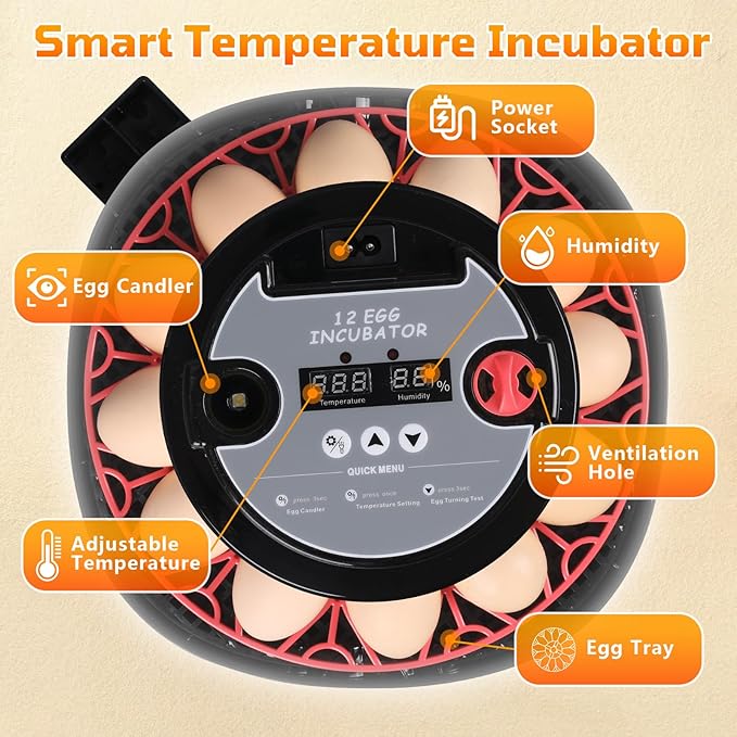 12-Egg Incubator, Automatic Egg Turning Function, Humidity Control, External - Image 3