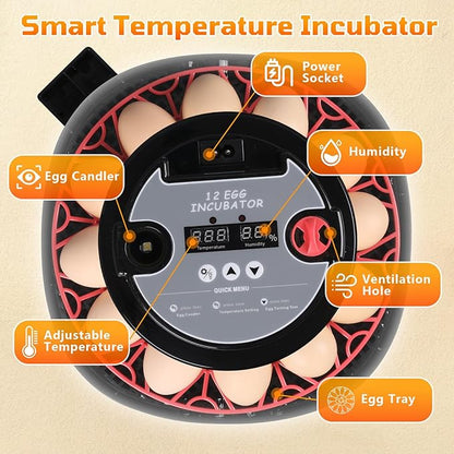 12-Egg Incubator, Automatic Egg Turning Function, Humidity Control, External - Image 3