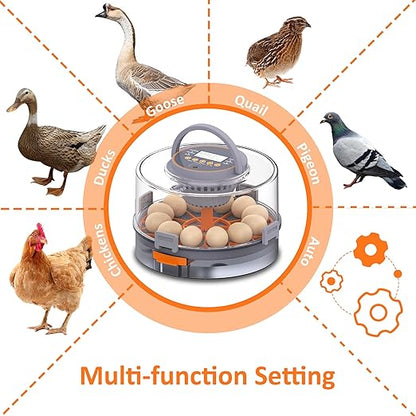 12 Egg Incubator with Automatic Egg Turning and Humidity Control, Intelligent - Image 7
