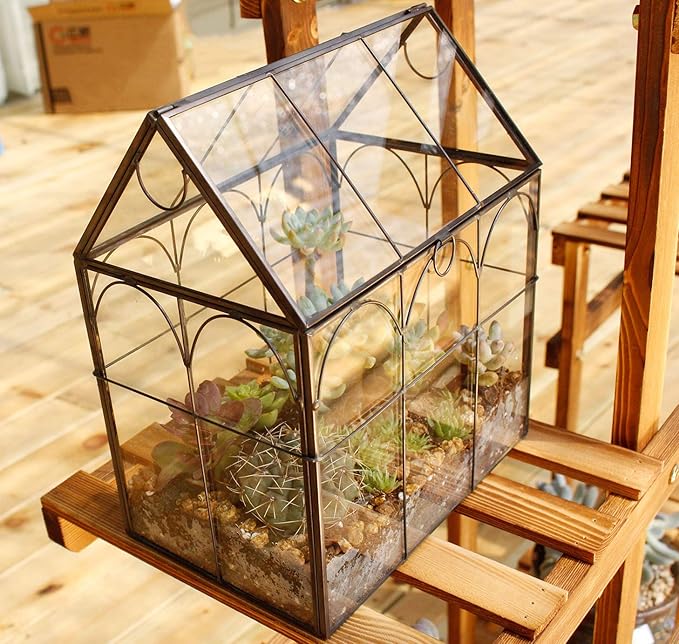 ELEGANTLIFE Glass Geometric Plant Terrarium, Succulent & Air Planter - Image 7