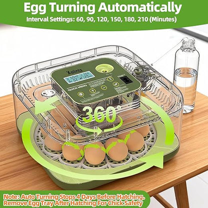 12 Egg Incubator for Hatching Eggs - Image 6