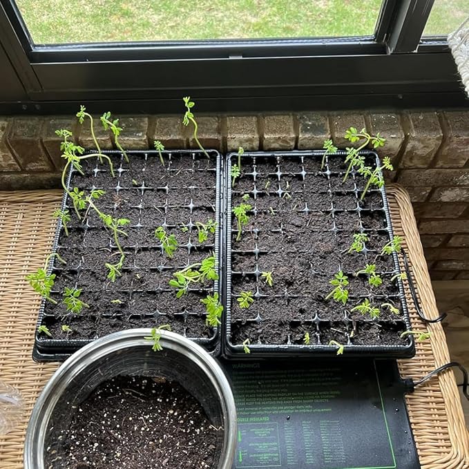 Heavy Duty Seed Starter Trays - Image 6