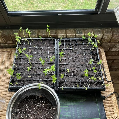 Heavy Duty Seed Starter Trays - Image 6