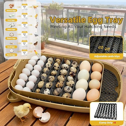 24 Incubators for Hatching Eggs, Egg Incubator - Image 6