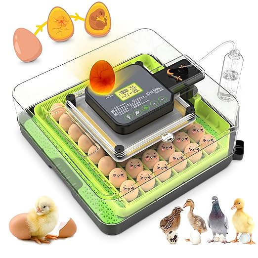 48 Egg Incubator for Hatching Eggs by Innvello