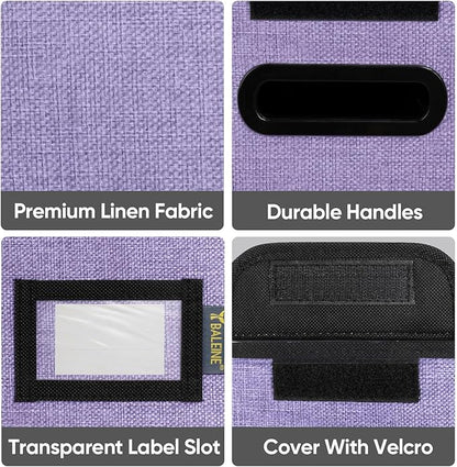 BALEINE File Organizer Box - Image 6